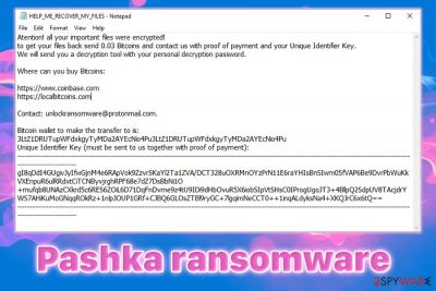 Pashka ransomware