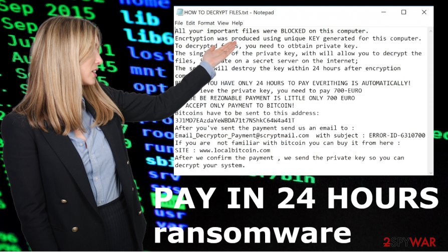 PAY IN 24 HOURS file virus