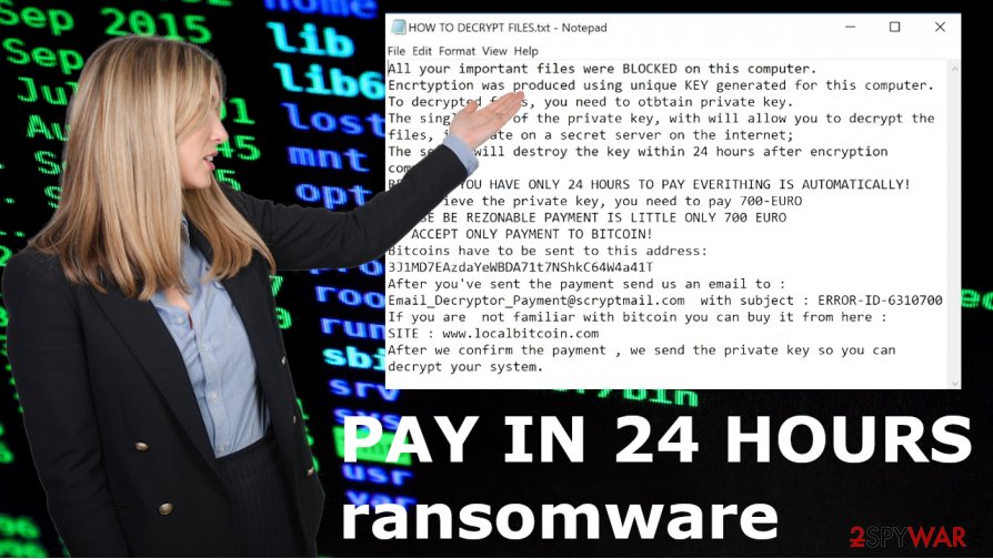 PAY IN 24 HOURS file virus