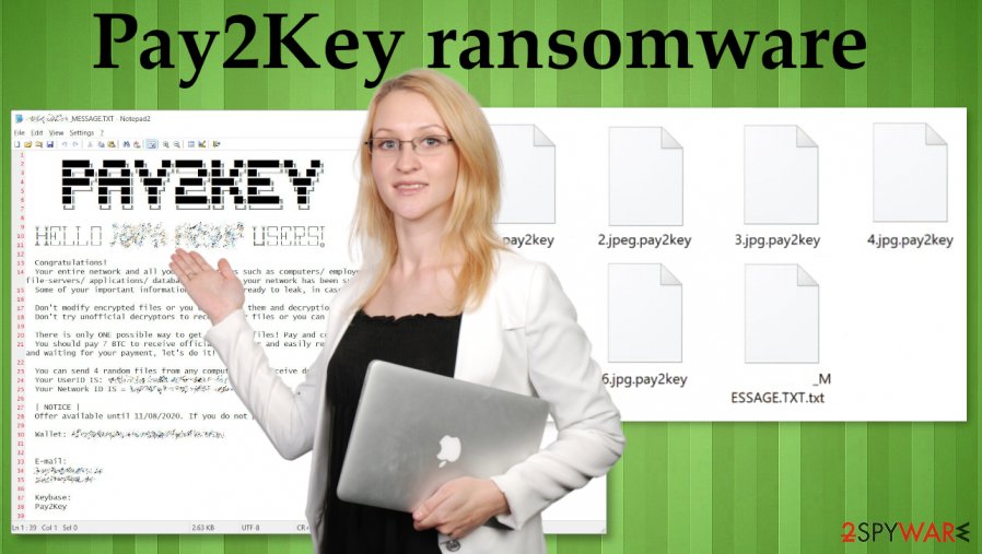 Pay2Key ransomware virus