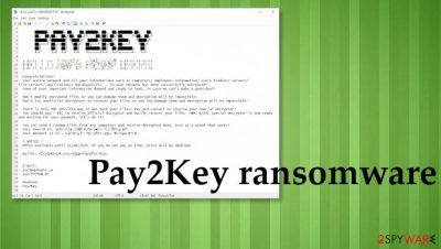 Pay2Key ransomware