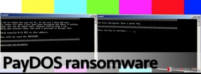 PayDOS ransomware 