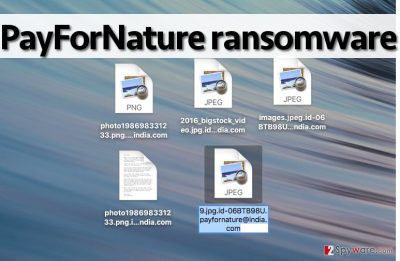 PayForNature ransomware