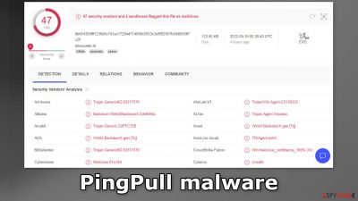 PingPull malware