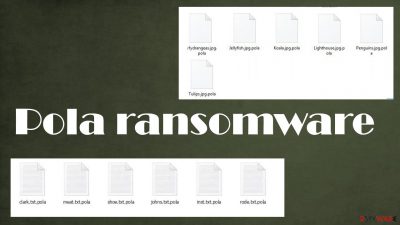 Pola ransomware