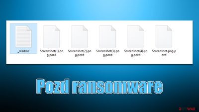 Pozd ransomware