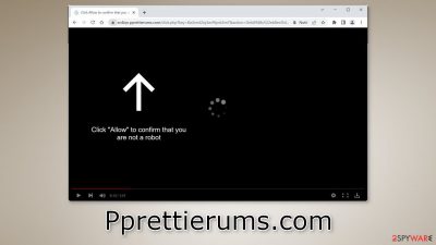 Pprettierums.com