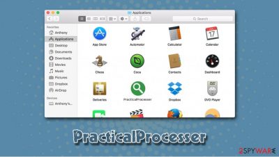 PracticalProcesser