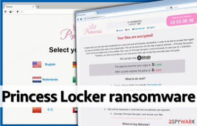 Image showing Princess Locker payment site