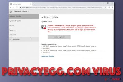 Privacyegg.com scam