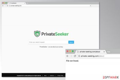 The image of Private-seeking.com search engine