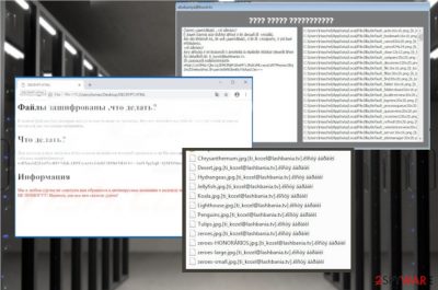Project57 ransomware