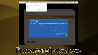 Protectorofpower.xyz