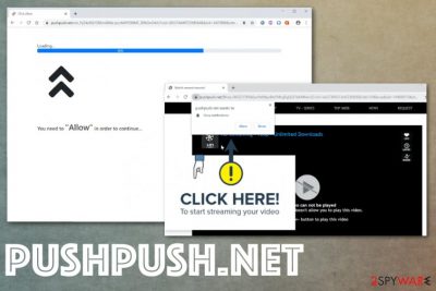 Pushpush.net