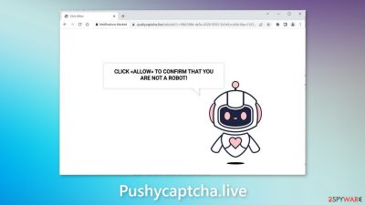 Pushycaptcha.live