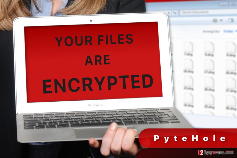 The illustration of PyteHole ransomware