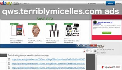 The example of qws.terriblymicelles.com ads The example of qws.terriblymicelles.com ads