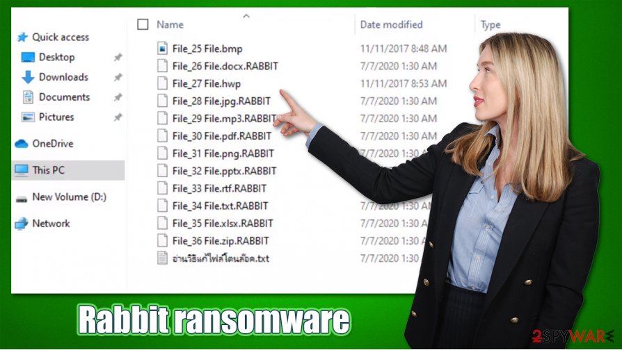 Rabbit ransomware virus