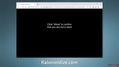 Rabonoldize.com