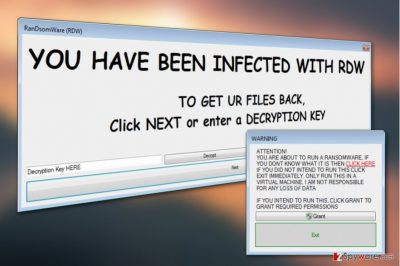 RanDsomeWare virus