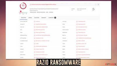 RaZiO ransomware