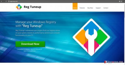 The screenshot of Reg TuneUp official website