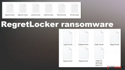 RegretLocker ransomware