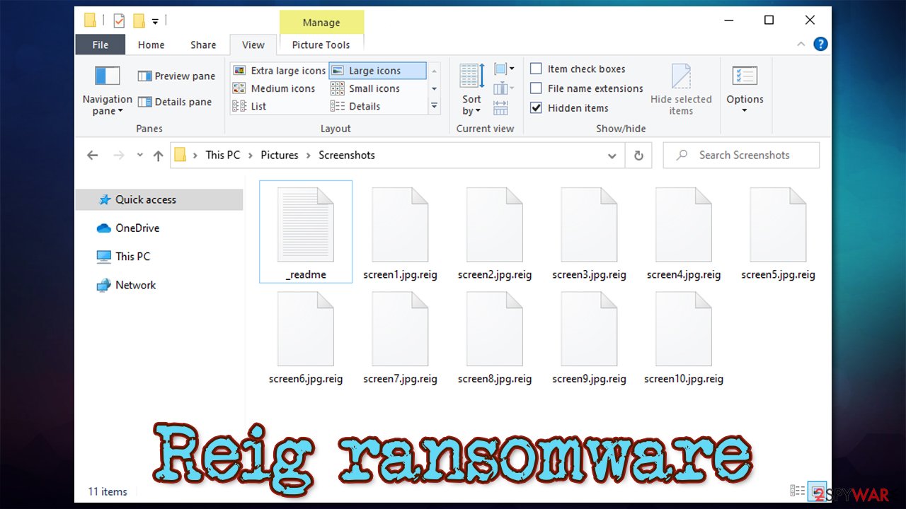 Reig virus encrypted files