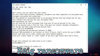 Reig ransomware