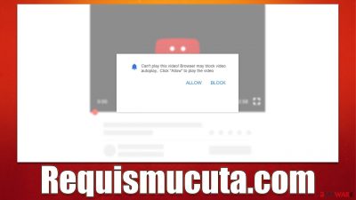 Requismucuta.com