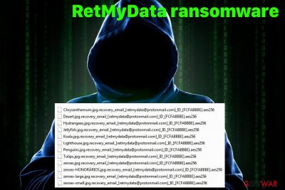 RetMyData ransomware