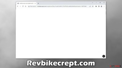 Revbikecrept.com