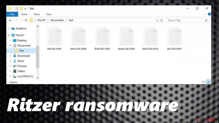Ritzer ransomware