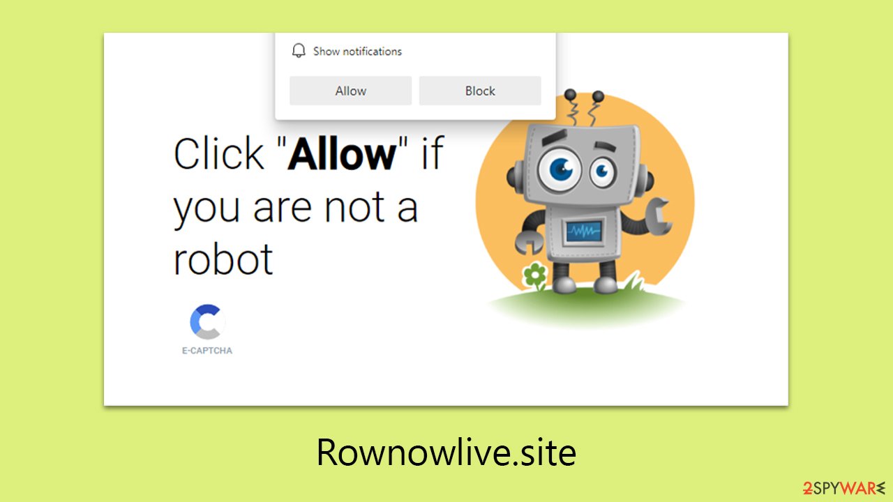 Rownowlive.site ads