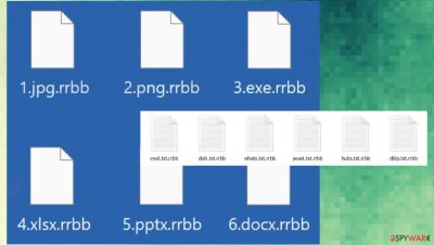 Rrbb file virus