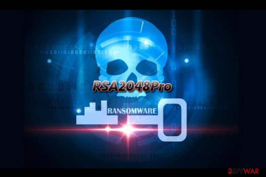 RSA2048Pro virtual threat