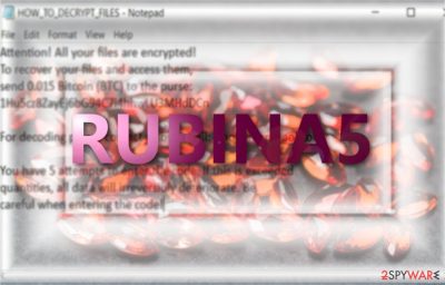 The image displaying Rubina5 ransom note