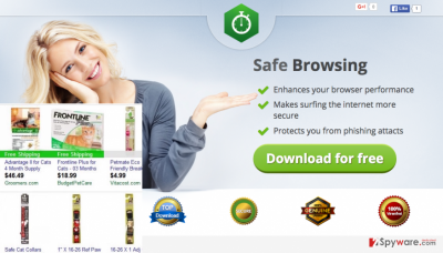 The picture showing Safe Browsing ads