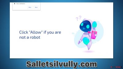 Salletsilvully.com