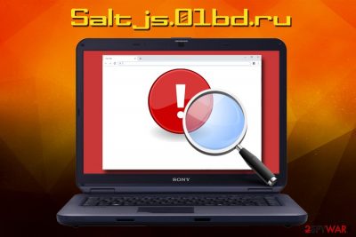 Saltjs.01bd.ru