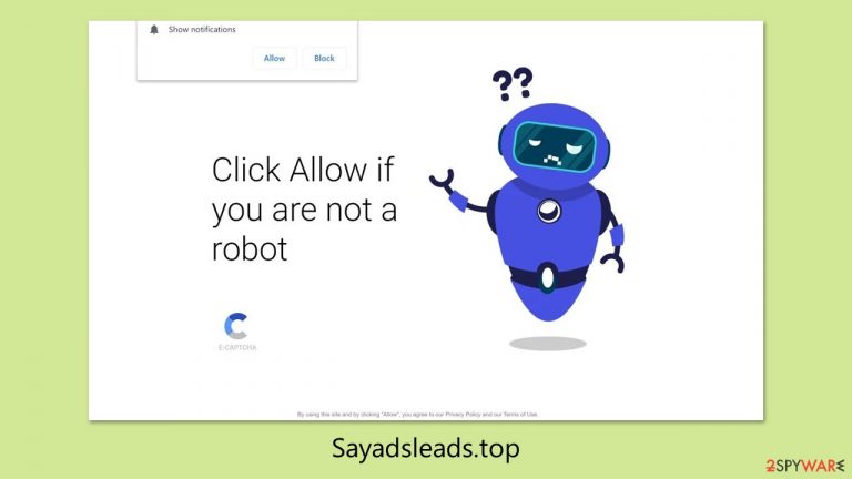 Sayadsleads.top