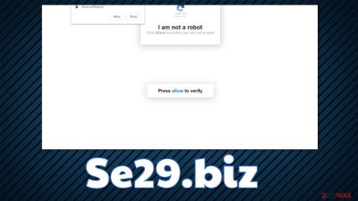 Se29.biz