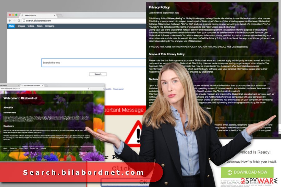 The image of search.bilabordnet.com virus