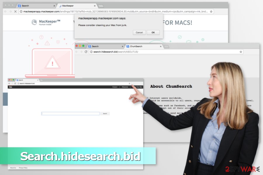 Example of Search.hidesearch.bid virus