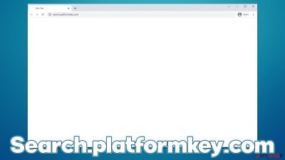 Search.platformkey.com