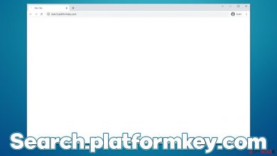 Search.platformkey.com