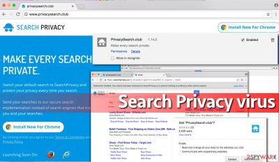Search Privacy virus