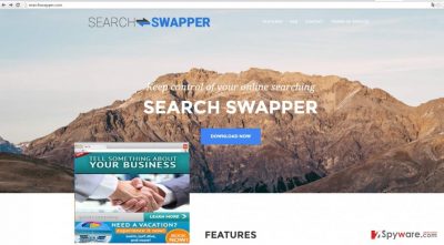 The image revealing SearchSwapper.com