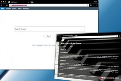 Search.tokyofalcon.com virus
