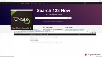 The screenshot of search123now.net